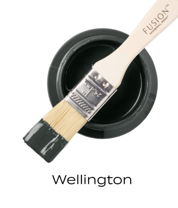 An angled brush that has been dipped in, and then placed on top of an open pint of Wellington Fusion mineral paint to indicate the colour.